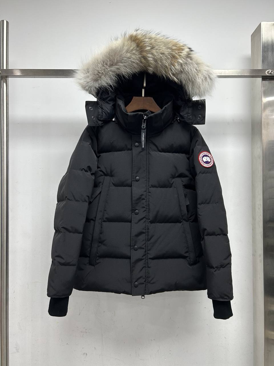 Canada Goose