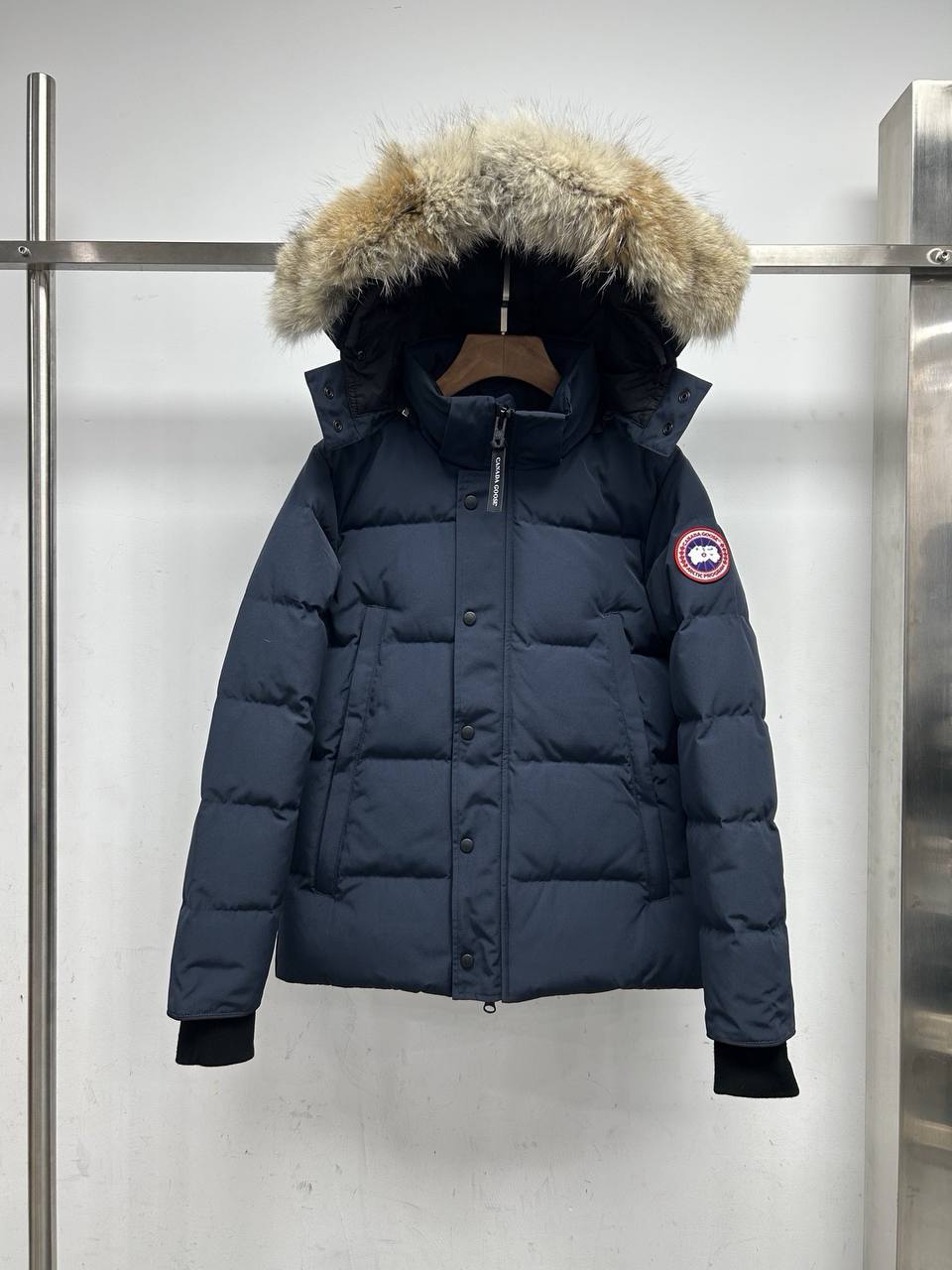 Canada Goose