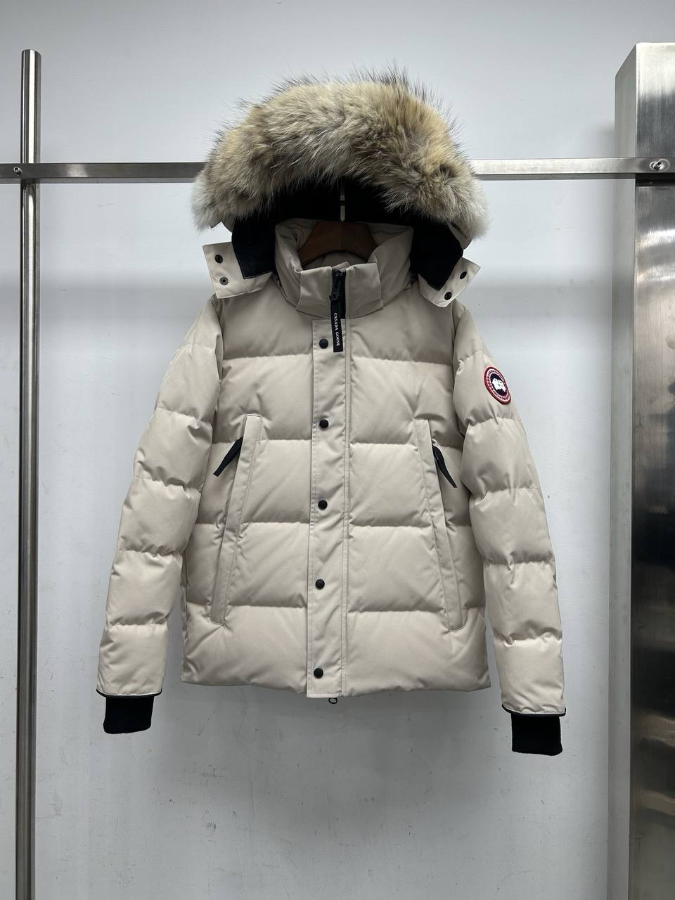 Canada Goose