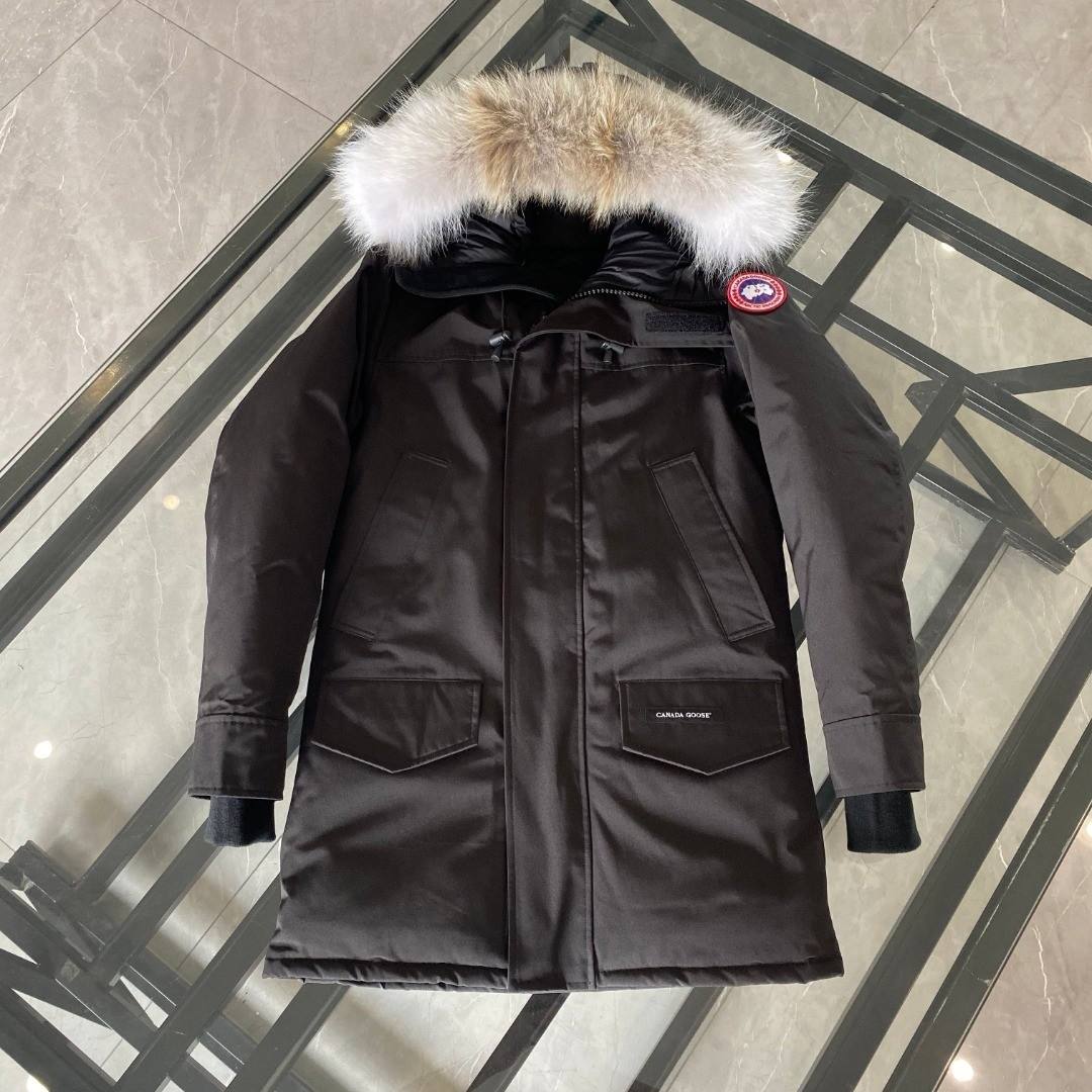 Canada Goose