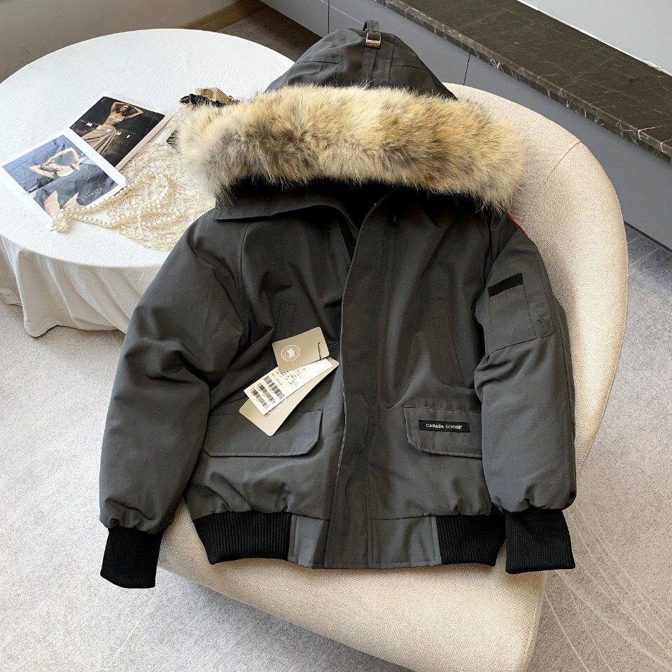 Canada Goose