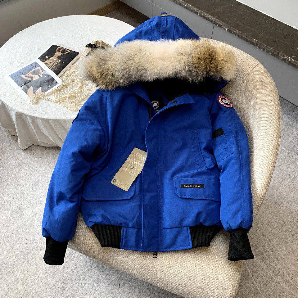 Canada Goose