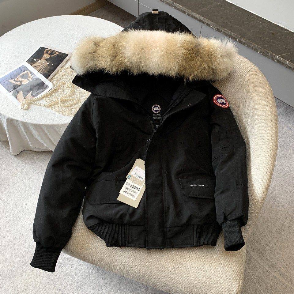 Canada Goose