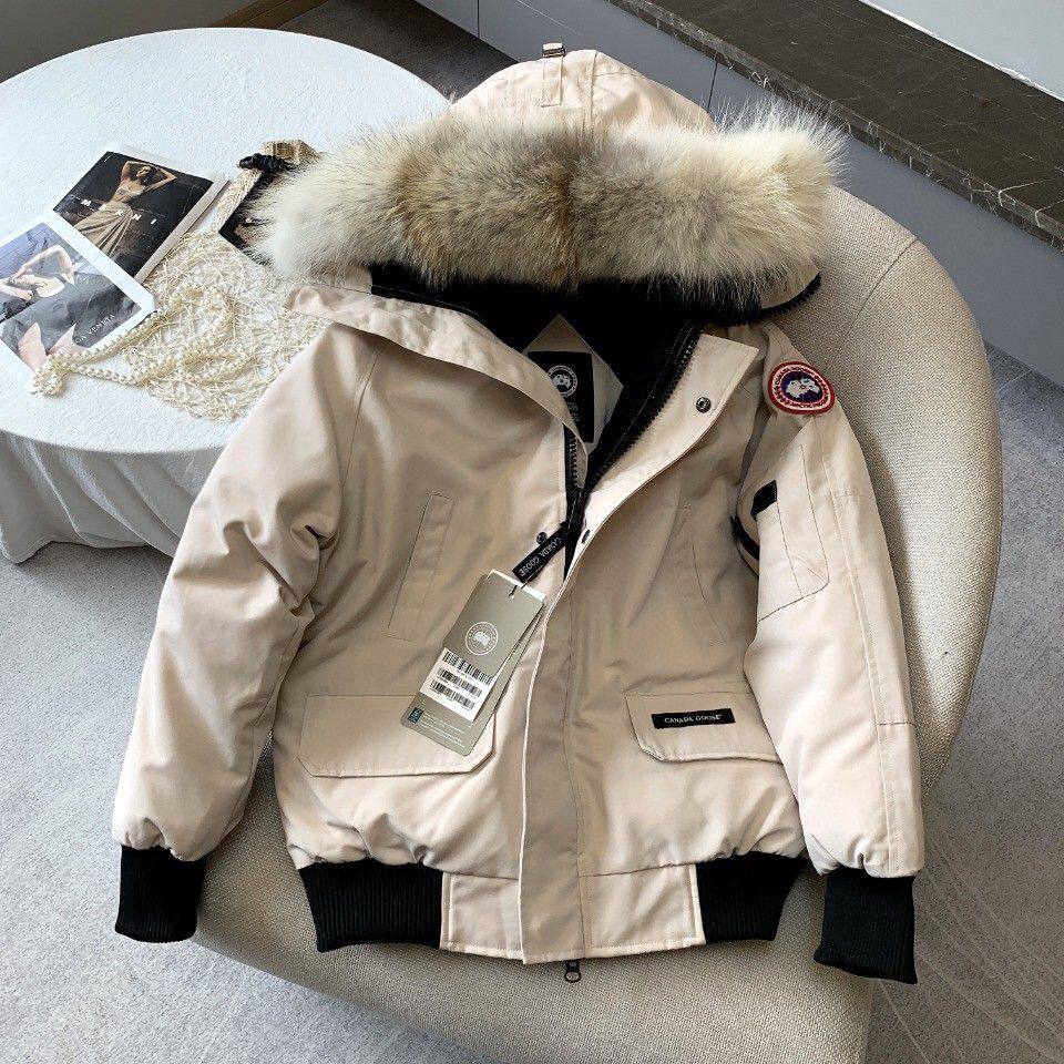 Canada Goose